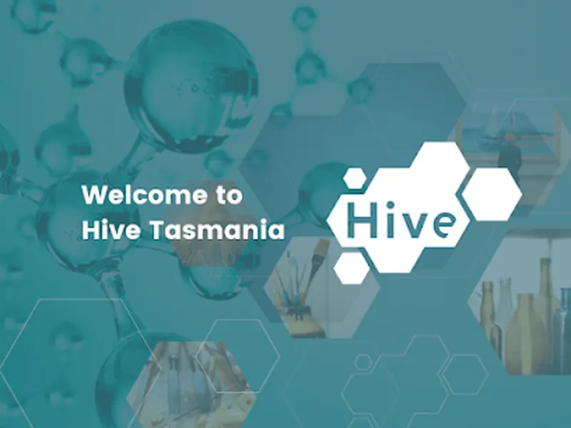 Hive Tasmania