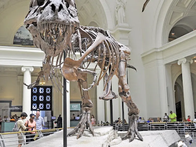 Field Museum