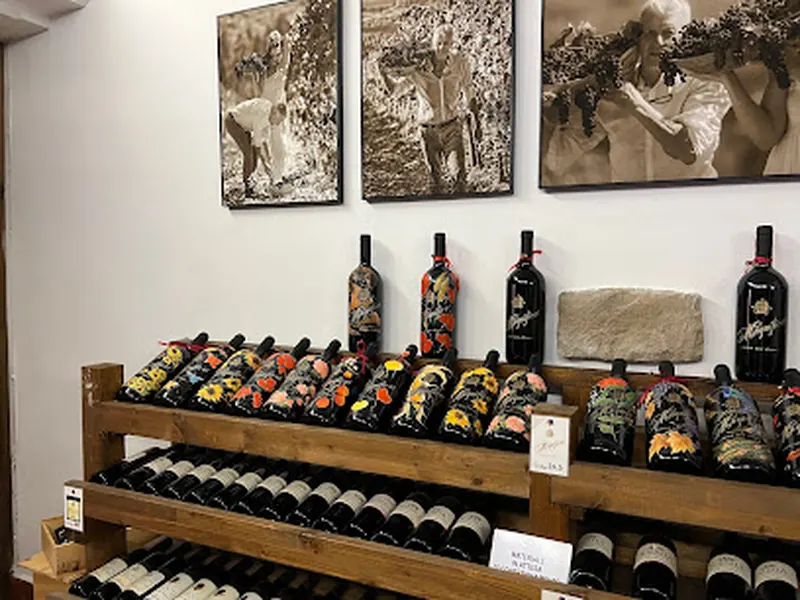 Tenuta Casanova - Luxury Wine Estate