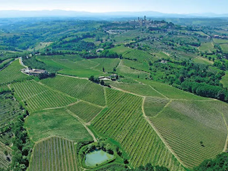 Azienda Agricola Casale di Falchini