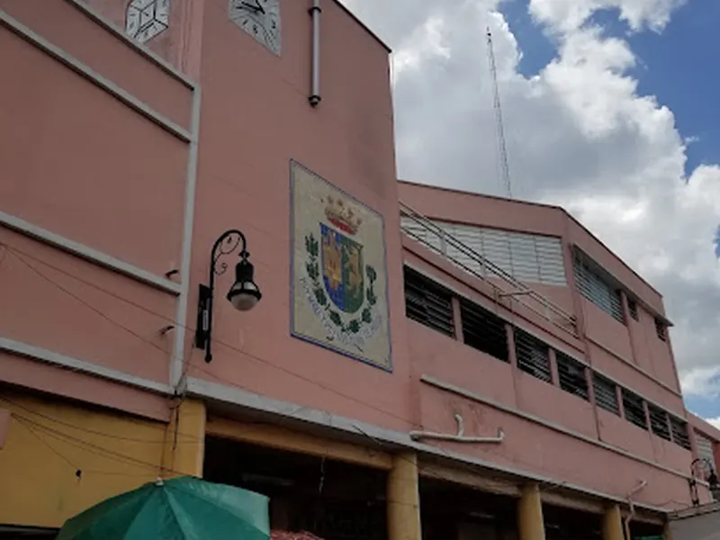 Mercado Lucas De Galvez