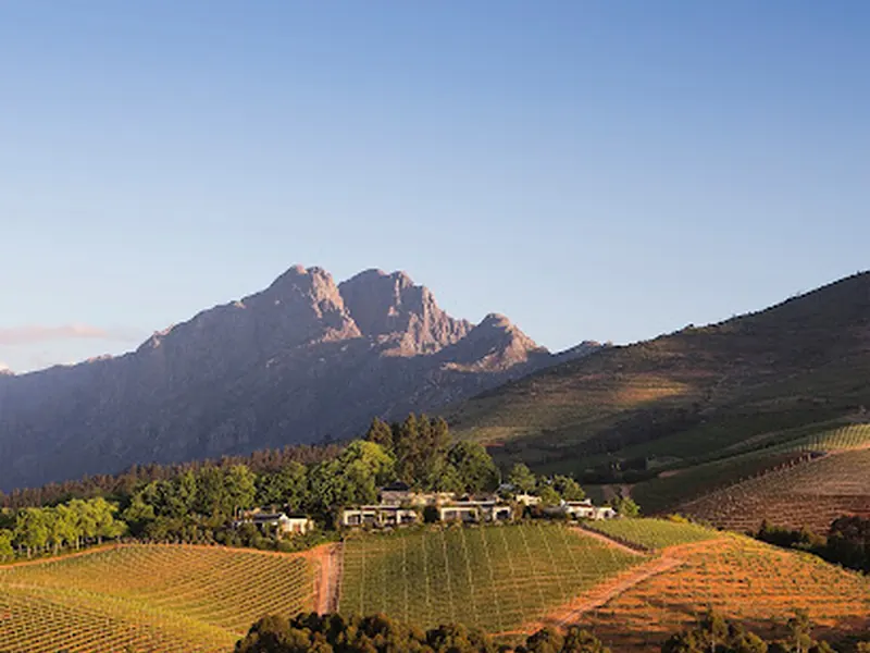 Delaire Graff Estate