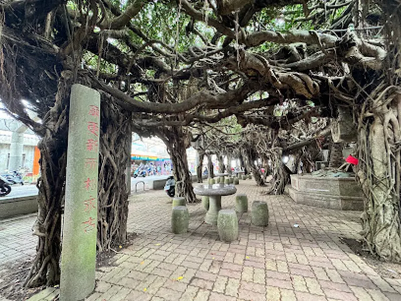 Tongliang Great Banyan