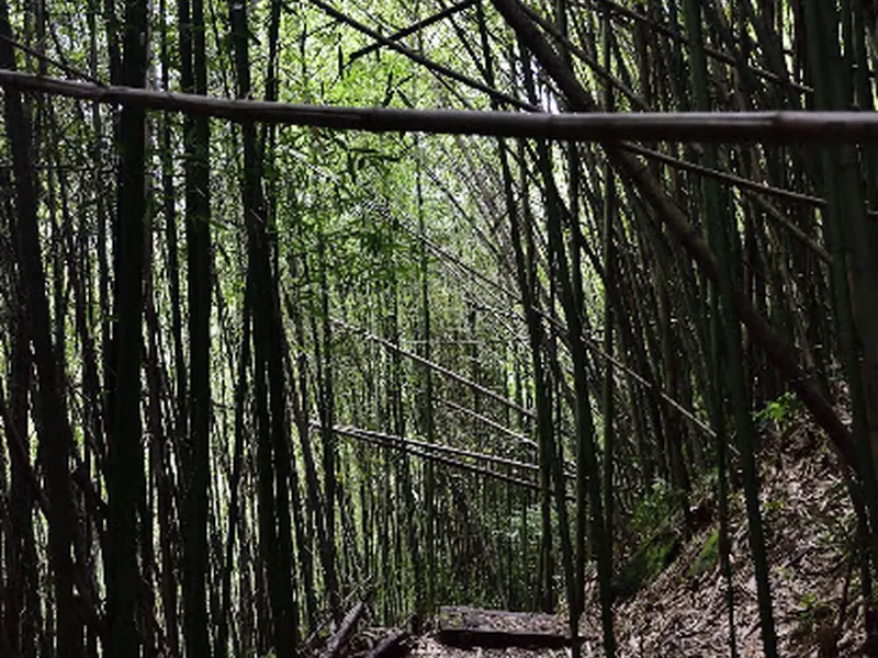 Fenrui Historic Trail