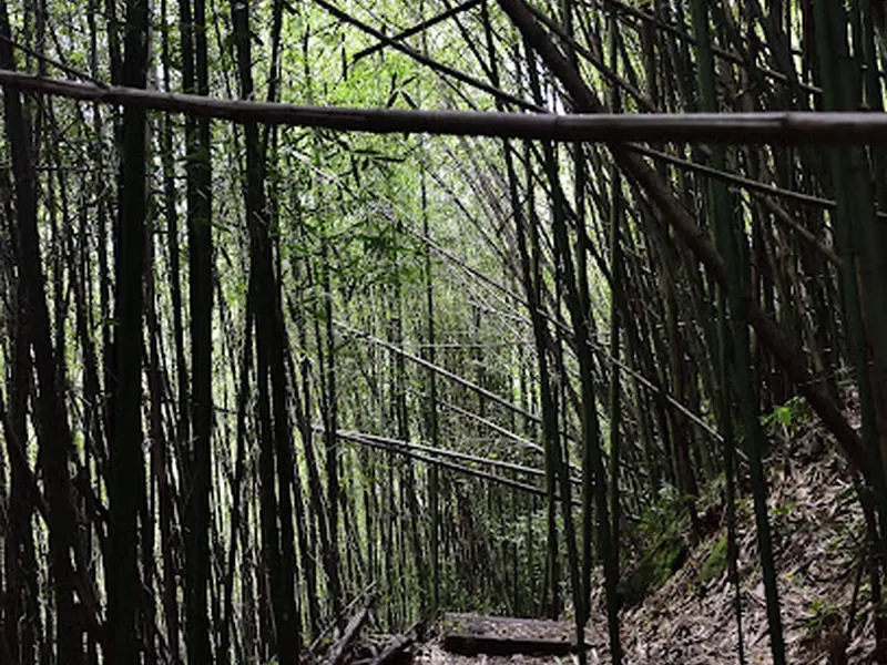 Fenrui Historic Trail