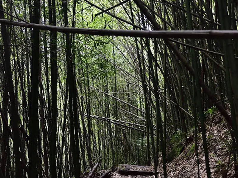 Fenrui Historic Trail
