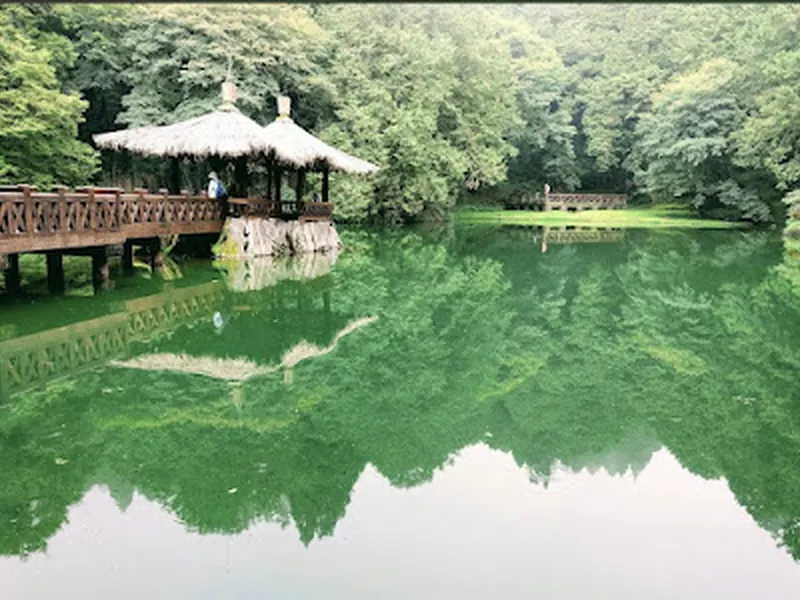Alishan National Forest Recreation Area