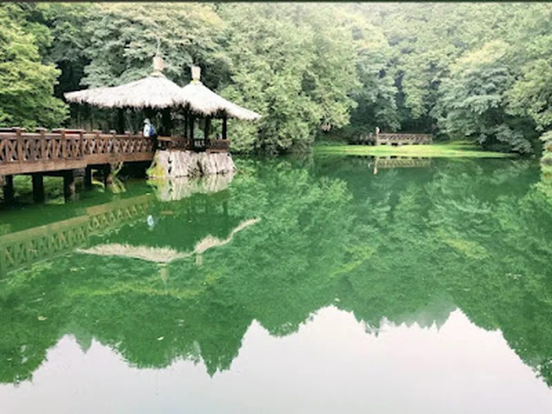 Alishan National Forest Recreation Area