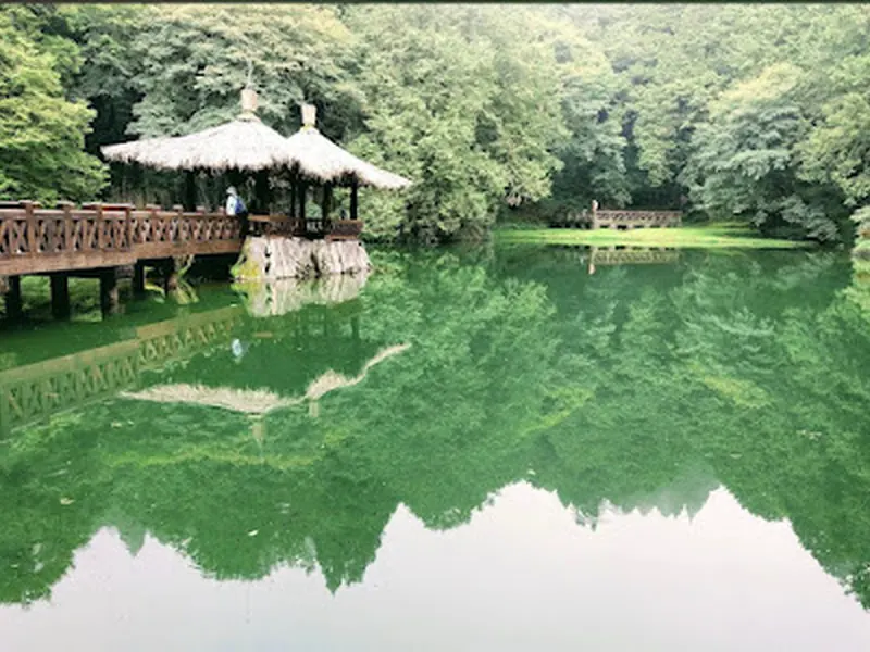 Alishan National Forest Recreation Area