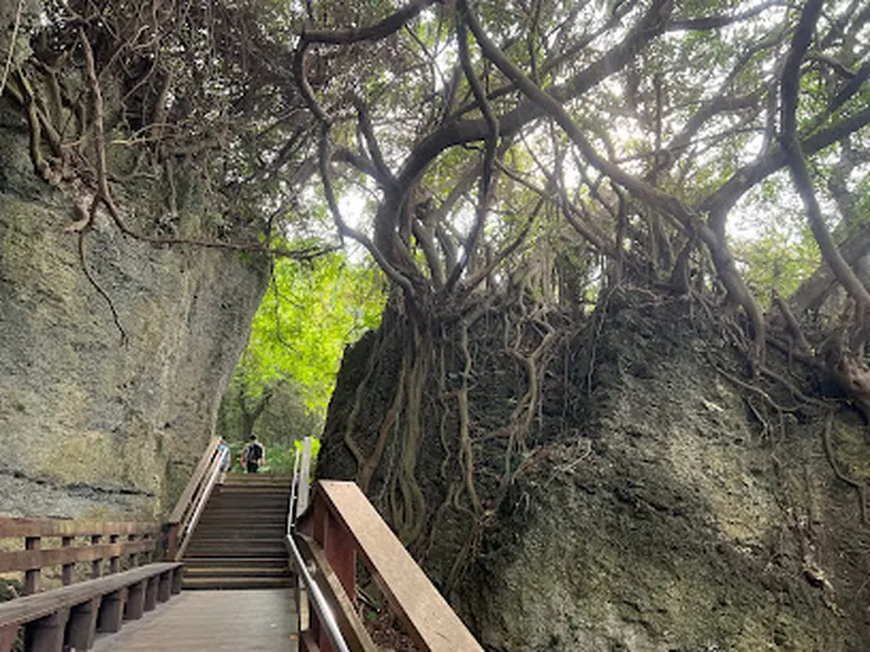 山豬溝