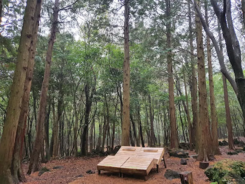 Seogwipo Forest of Healing