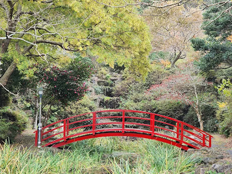 Halla Arboretum, Jeju Island,S.Korea