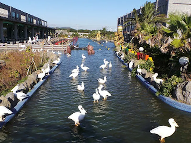 The Venice Land