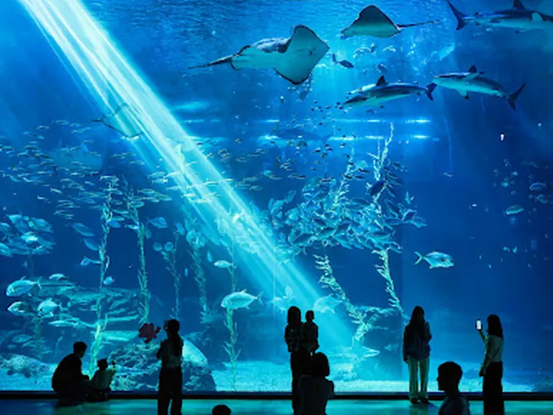 Aqua Planet Jeju