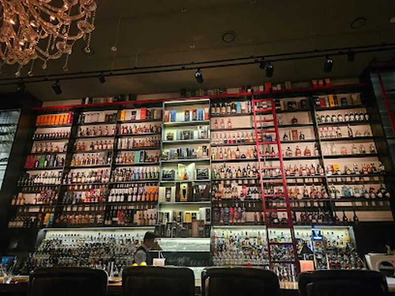 Pavox Bar 파복스 서면점