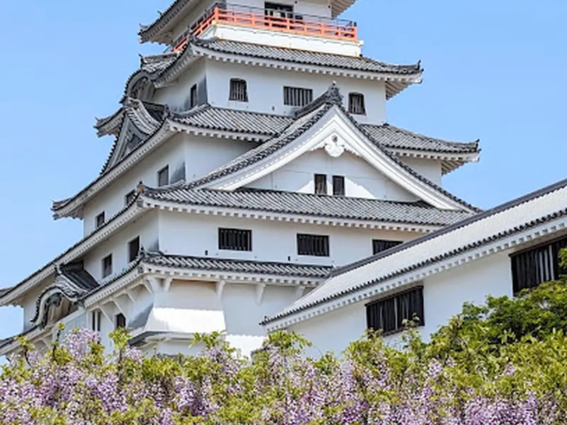 唐津城のフジ