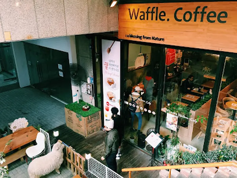 Thanks Nature Cafe