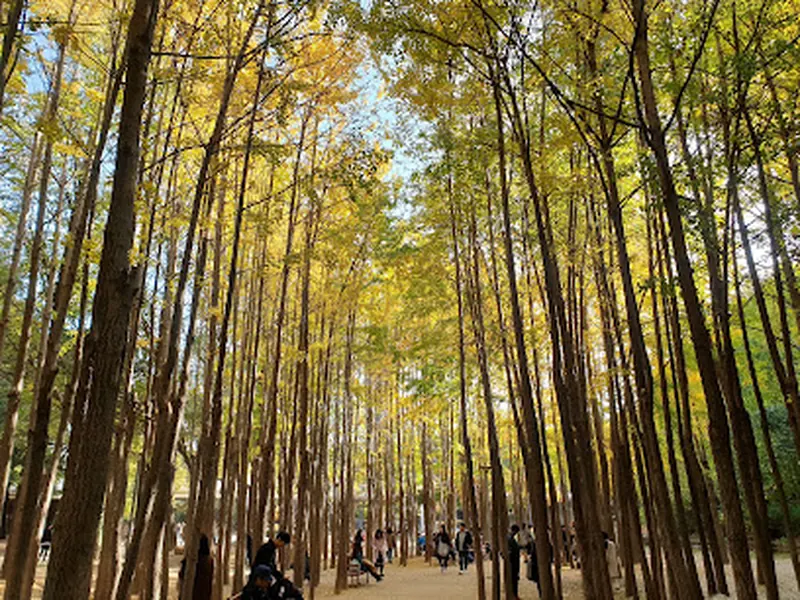 Seoul Forest Park