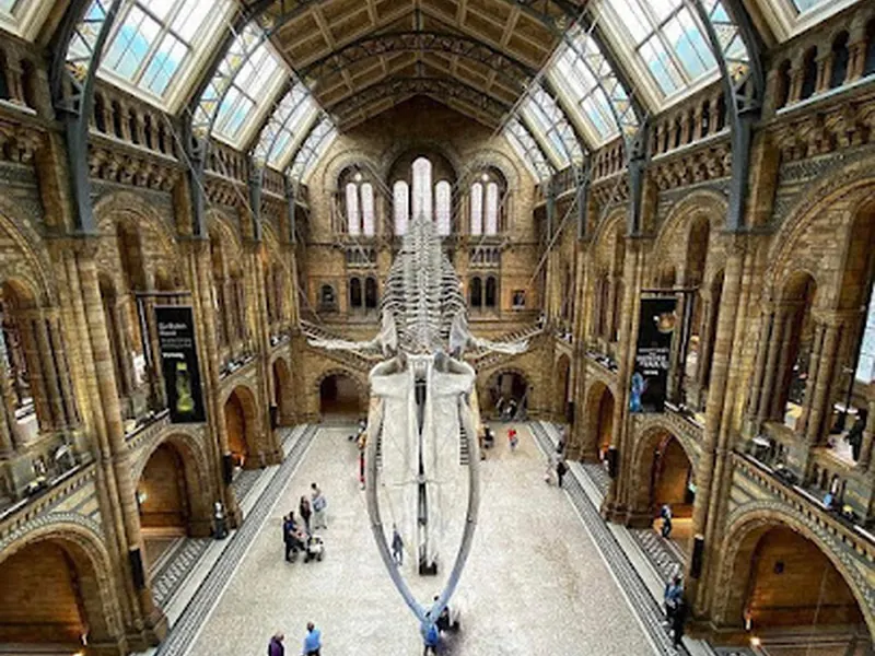 Natural History Museum