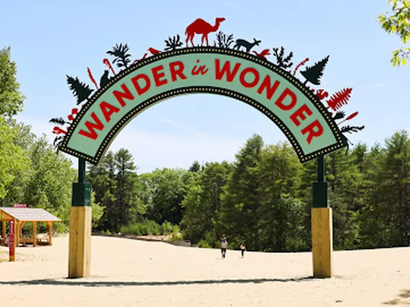 Desert of Maine