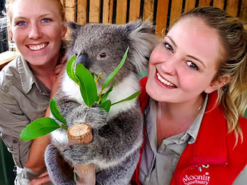 Moonlit Sanctuary Wildlife Conservation Park
