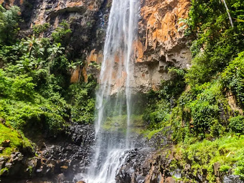 Springbrook National Park