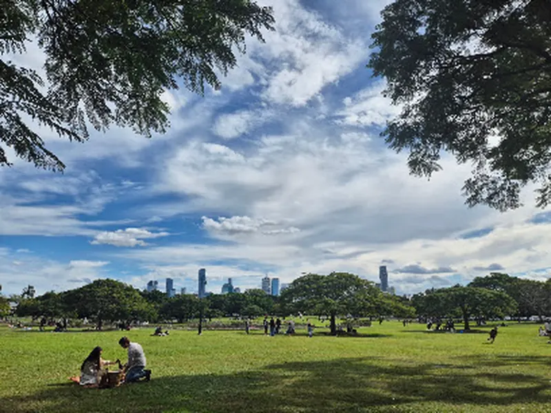 New Farm Park
