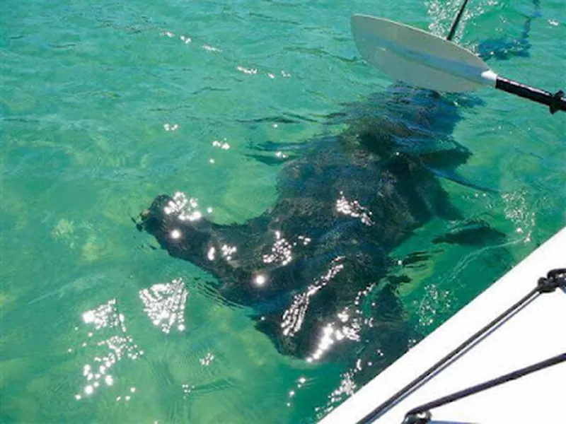 Moreton Island