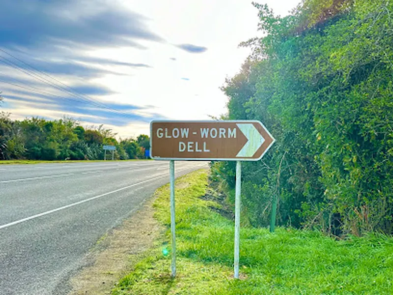 Glow Worm Dell