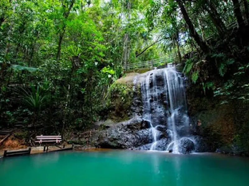 Colo-I-Suva Forest Park