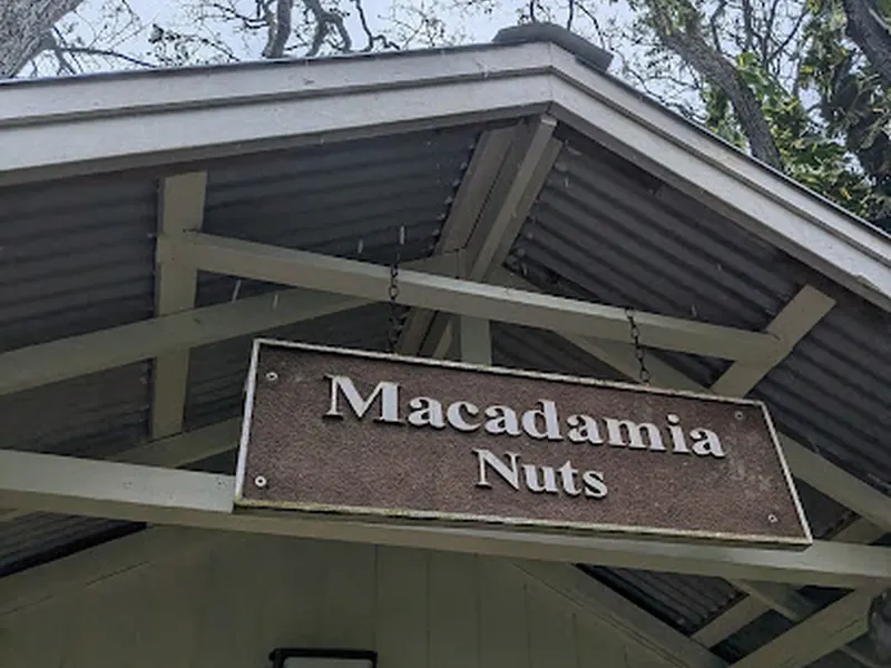 Tropical Farms Macadamia Nuts