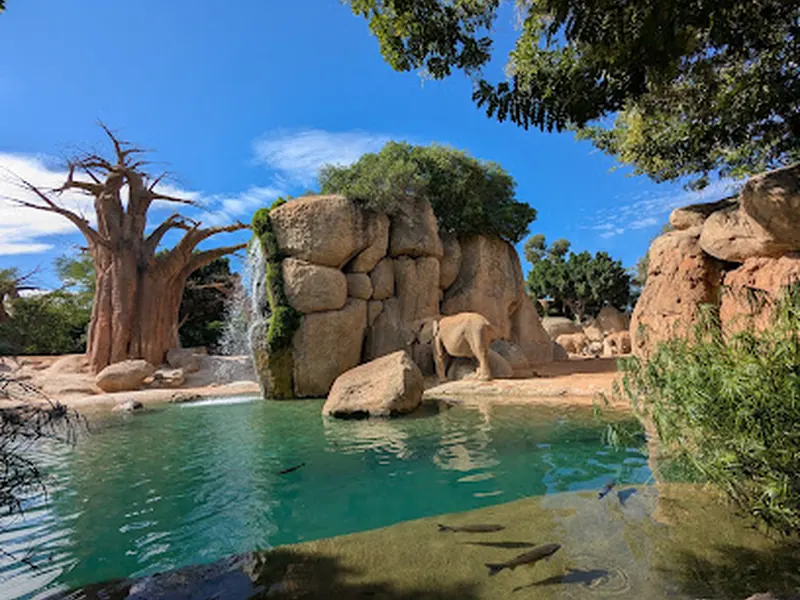 Bioparc Valencia