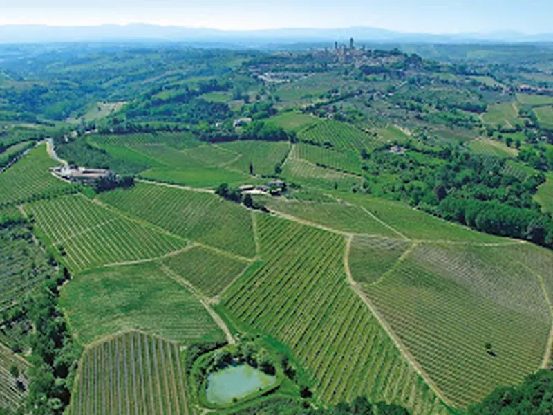 Azienda Agricola Casale di Falchini