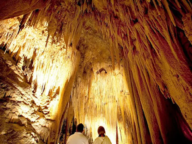 Hastings Caves and Thermal Springs