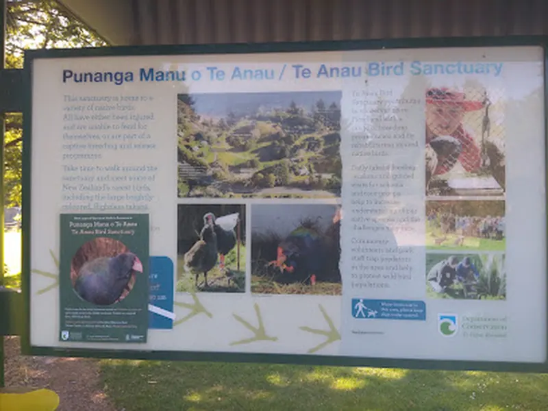 Punanga Manu o Te Anau / Te Anau Bird Sanctuary