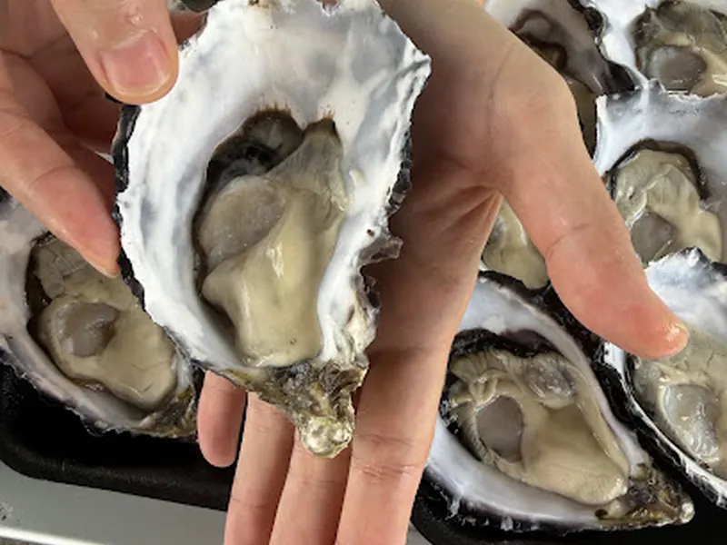 Shuck It