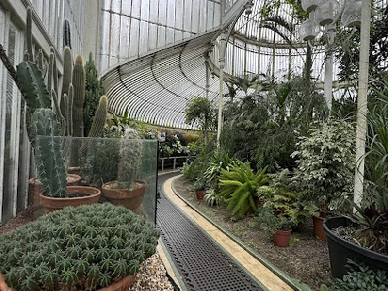 The Palm House