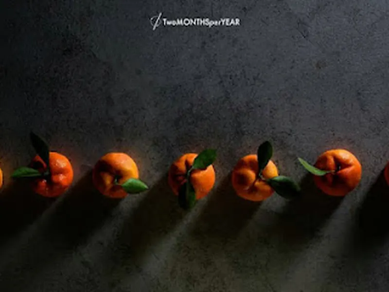 TwoMONTHSperYEAR