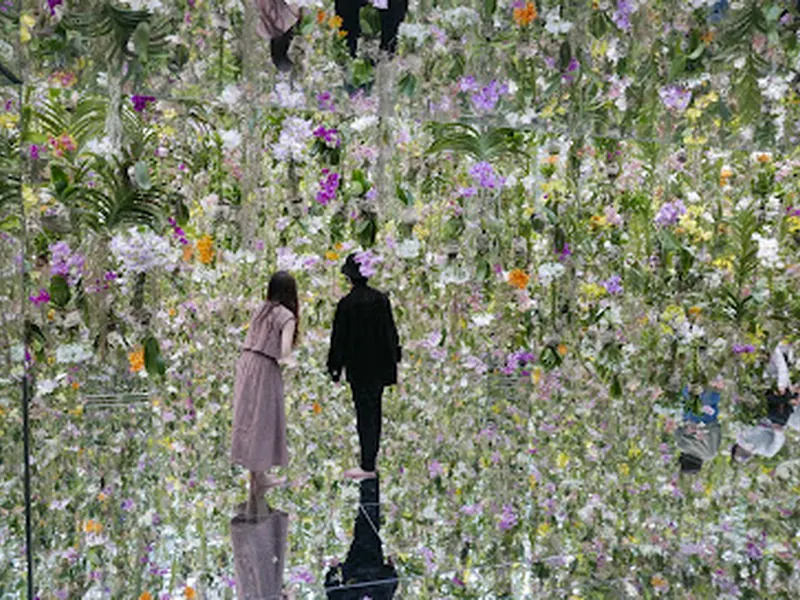 teamLab Planets TOKYO DMM