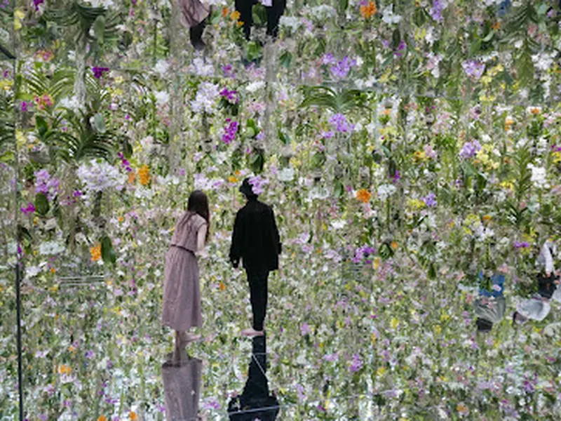 teamLab Planets TOKYO DMM