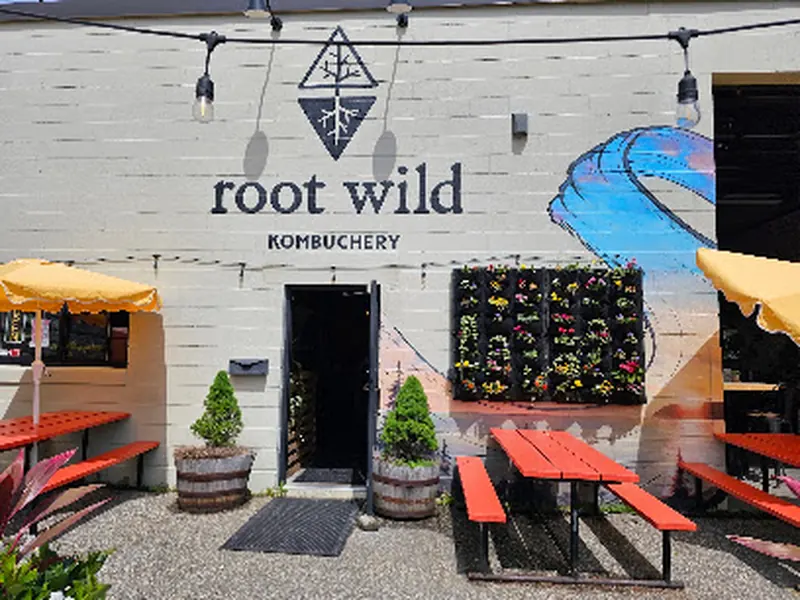 Root Wild Kombucha