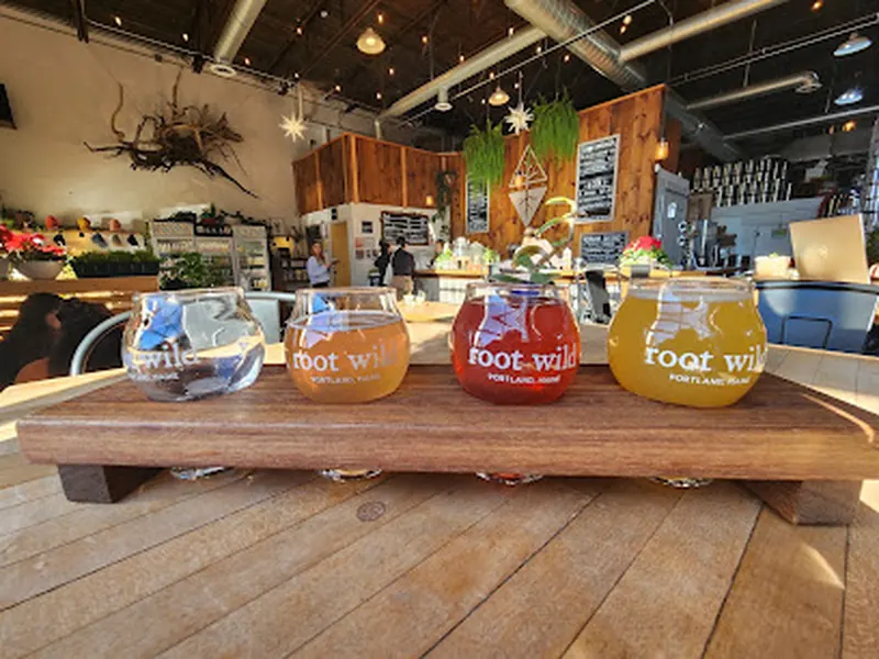 Root Wild Kombucha