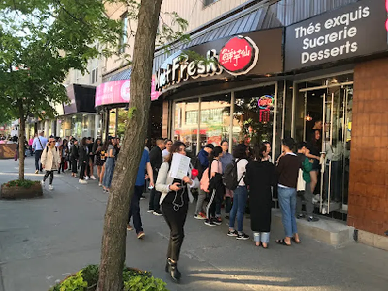 Meet Fresh Montreal