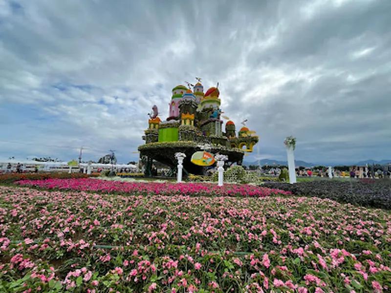 Xinshe Sea of Flowers