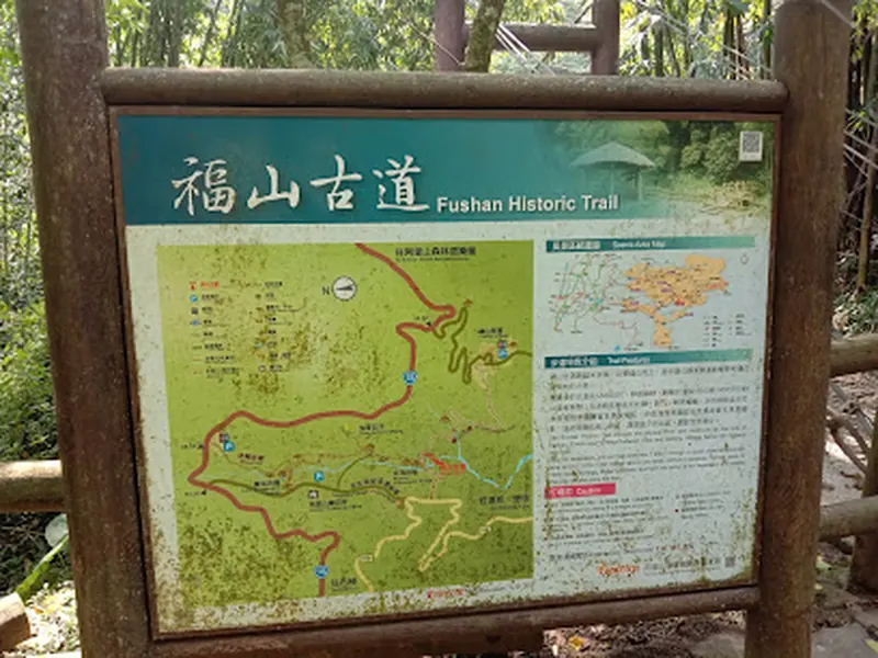 阿里山迷糊步道