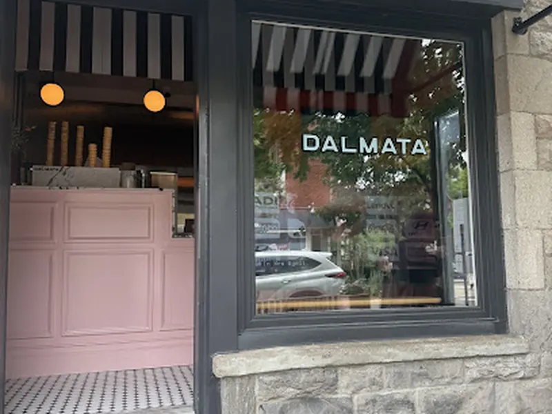 Dalmata Bar Laitier