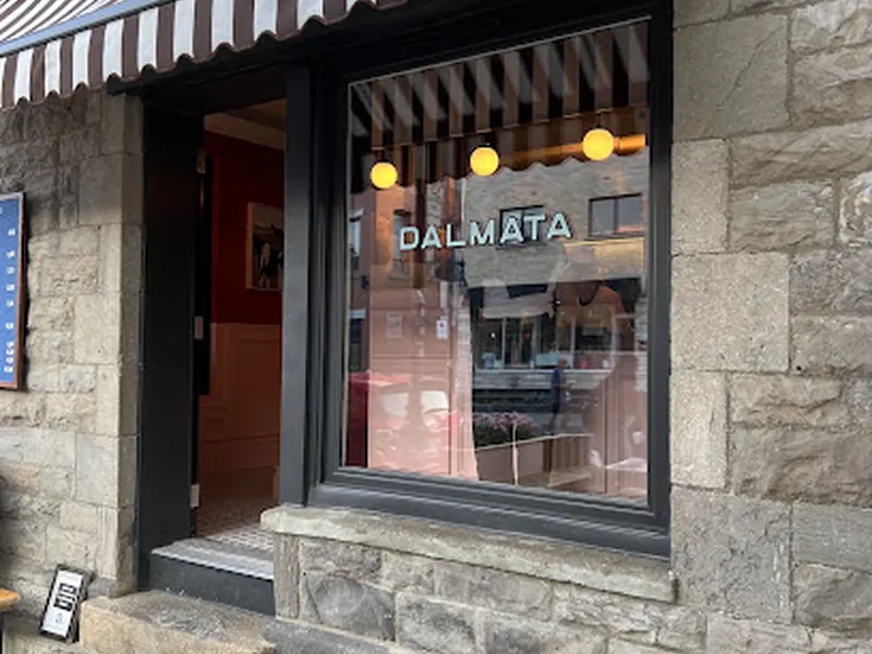 Dalmata Bar Laitier