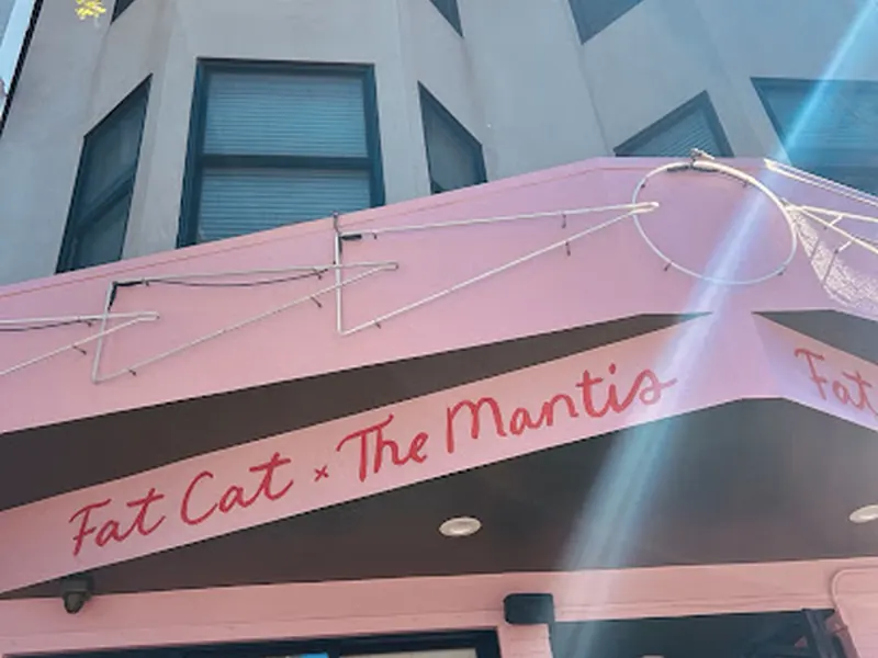 Fat Cat & The Mantis