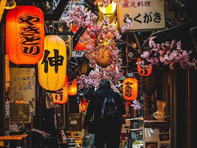 Omoide Yokocho Memory Lane