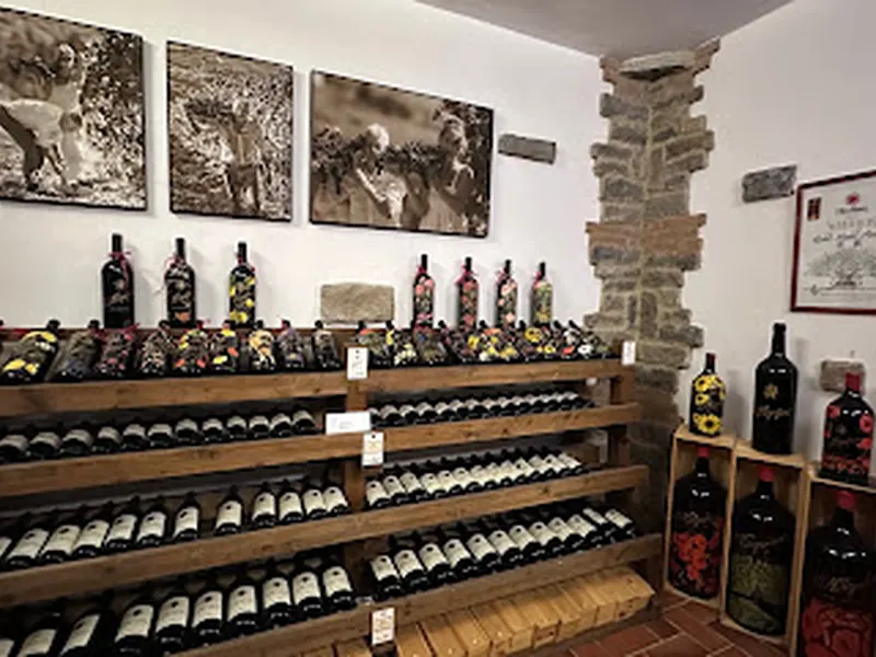 Tenuta Casanova - Luxury Wine Estate